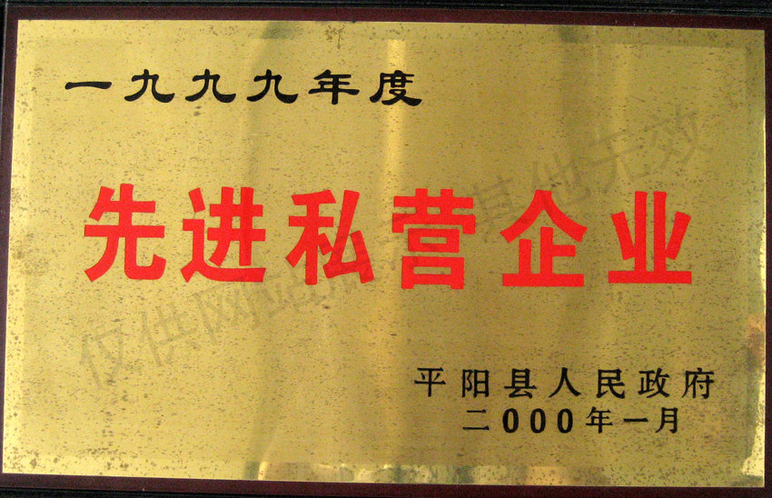 先進私營企業